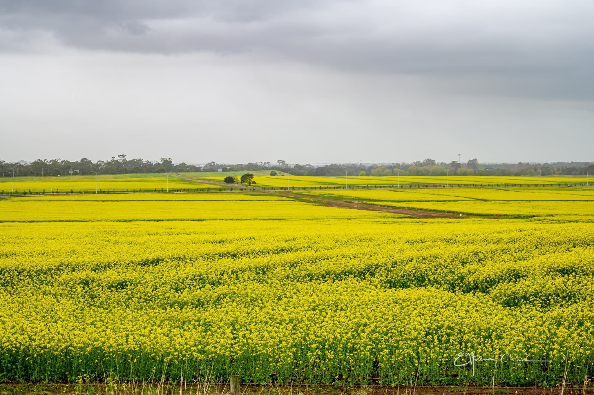 Ballarat self-guided audio driving tours