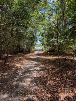Bundjalung National Park