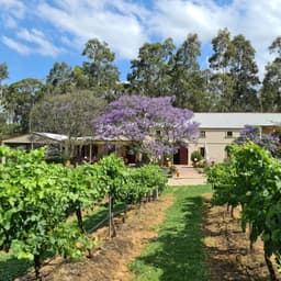 Tintilla Estate Wines